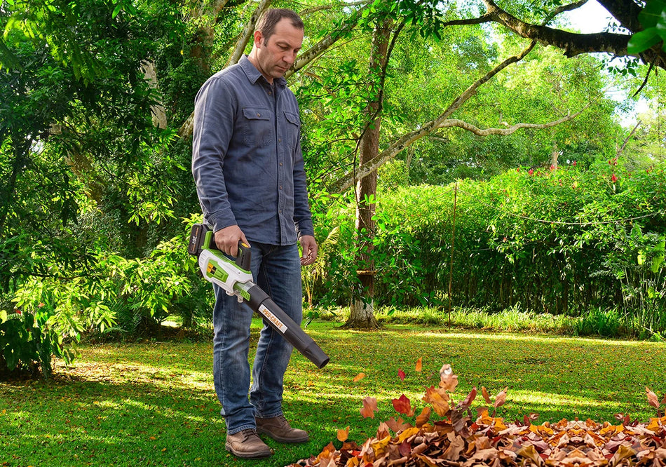 Pro-Craft Cordless Blower - PB20
